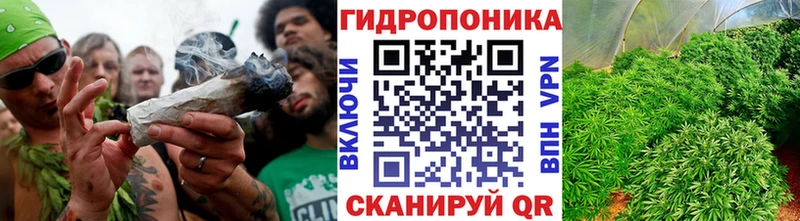 Купить  Луховицы  Конопля планчик 